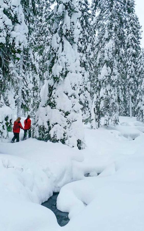 Arctic Skylight Lodge Äkäslompolo Εξωτερικό φωτογραφία